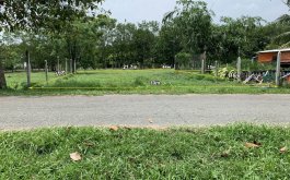 - Đất thổ cư mặt tiền đường 6m giá rẻ tại xã Thái Mỹ -Củ Chi -TPHCM.