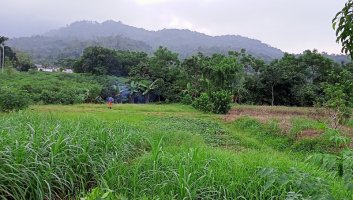 Chuyển nhượng đất không sổ đỏ bị phạt bao nhiêu tiền?